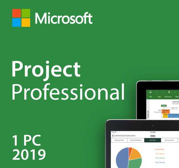 Project 2019 Professional
