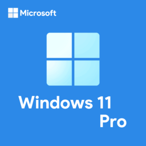 Windows 11 Pro / Professional 32/64 Bit